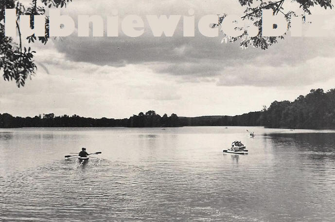 lubniewice koenigswalde