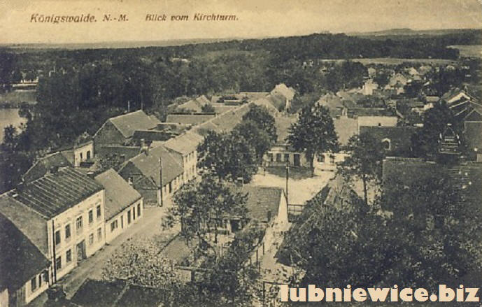 lubniewice koenigswalde